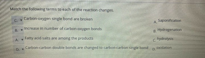 Solved Match the following terms to each of the reaction | Chegg.com