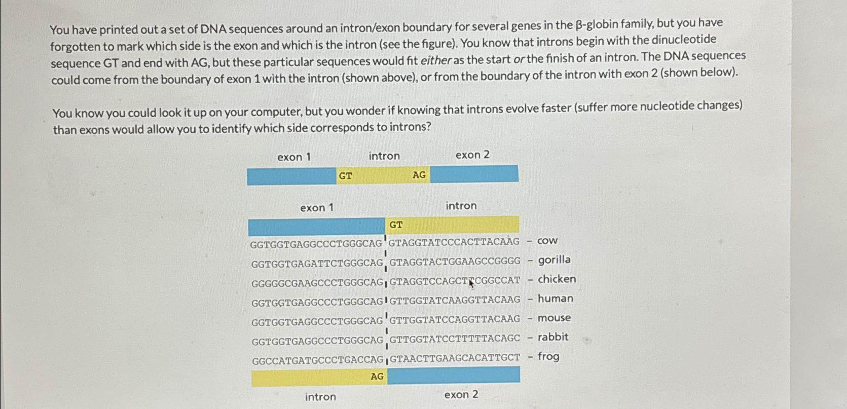 Solved You have printed out a set of DNA sequences around an | Chegg.com