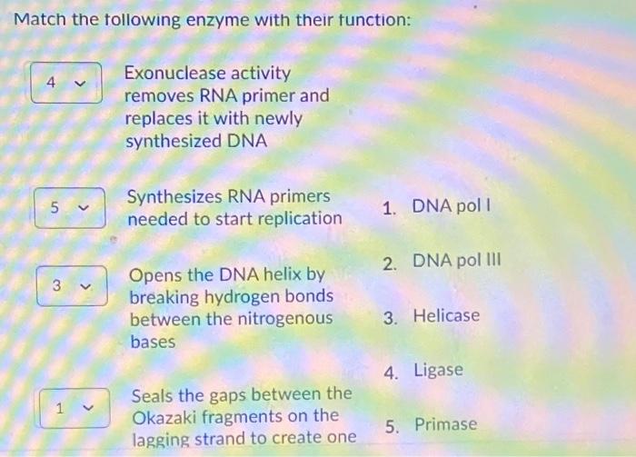 Solved Match the following enzyme with their function 4