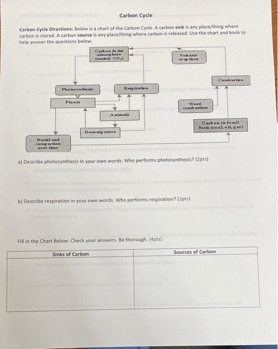 Solved Carbon Cycle Carbon Cycle Directions: Below is a | Chegg.com