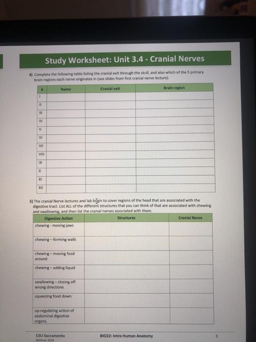 Study Worksheet: Unit 3.4 - Cranial Nerves Study | Chegg.com