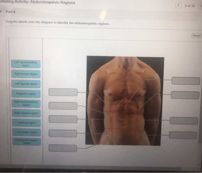 Solved Labeling Activity Abdominopelvic Regions C 9 Of 10 Chegg Com