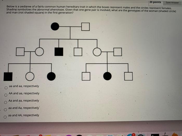 Solved Save Answer 20 points Below is a pedigree of a fairly | Chegg.com
