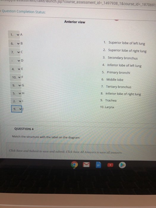 Solved Question Completion Status: Match the structure with | Chegg.com