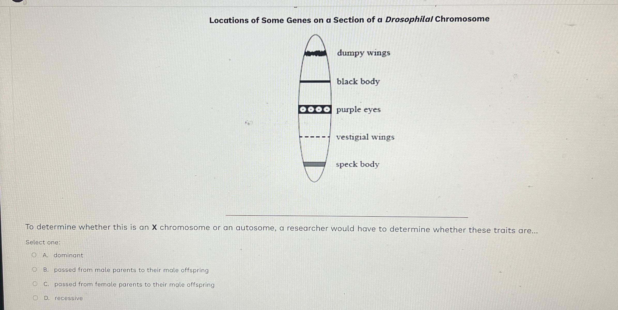 Solved Locations Of Some Genes On A Section Of A Drosophila Chegg Com