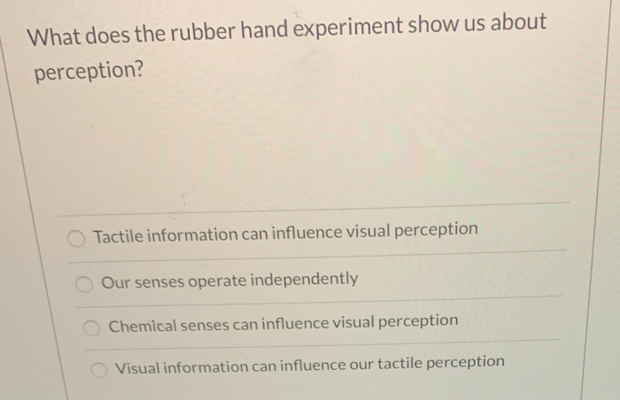 Octopuses Show Astonishing Self Awareness In New Rubber Hand Experiment - 5rgefpe