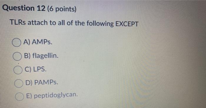 Question 12 (6 points) TLRs attach to all of the following EXCEPT A) AMPs. B) flagellin. C) LPS. D) PAMPs. E) peptidoglycan.