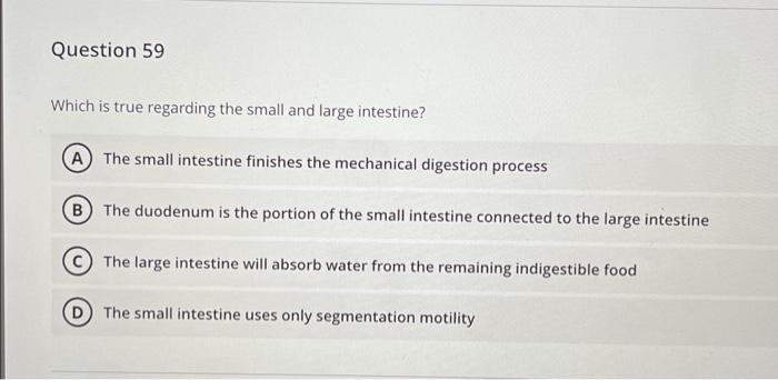 Solved Question 59 Which is true regarding the small and | Chegg.com