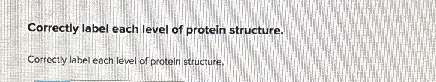 Solved Correctly label each level of protein | Chegg.com