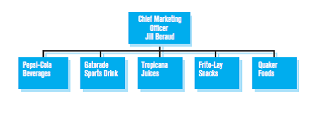 Organizational Chart Of Pepsi Company