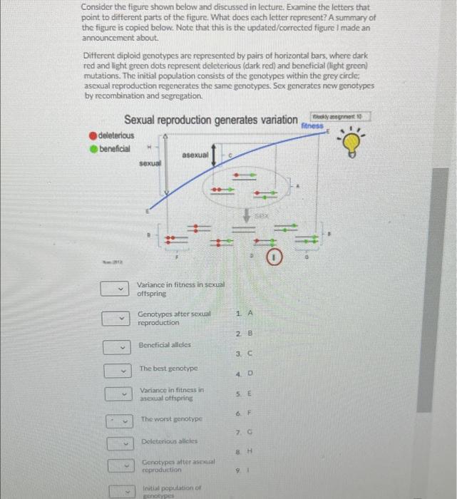 Solved Consider the figure shown below and discussed in | Chegg.com
