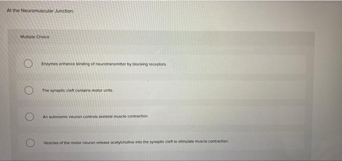 Solved At the Neuromuscular Junction Multiple Choice Enzymes | Chegg.com