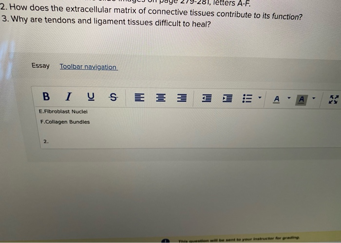 Solved letters A-F. 2. How does the extracellular matrix of | Chegg.com
