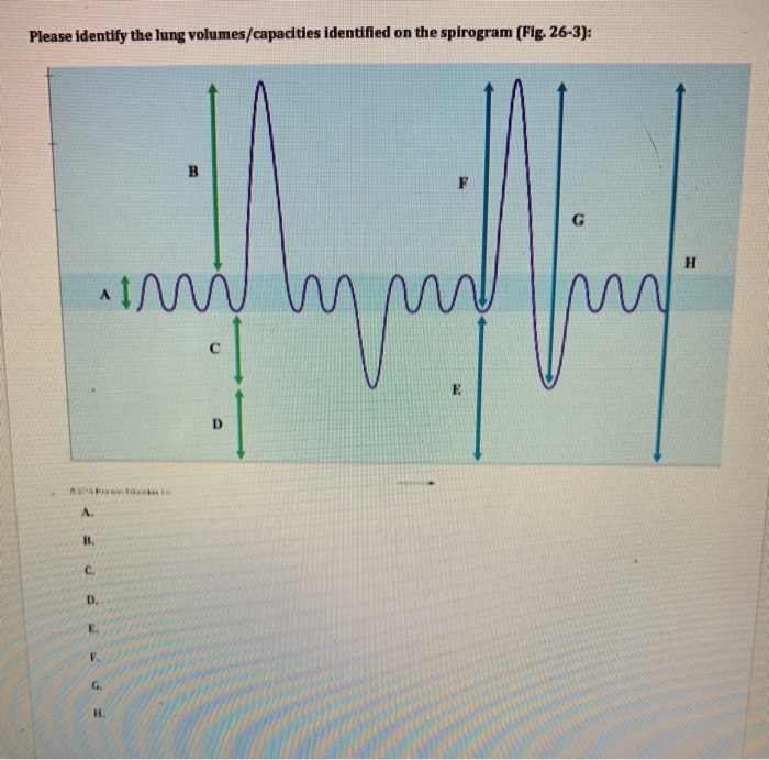 What Are The Carrying Capacities Of This Graph