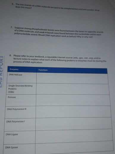 Solved Name DATA SHELL Date: 4:29.70 DNA Replication | Chegg.com