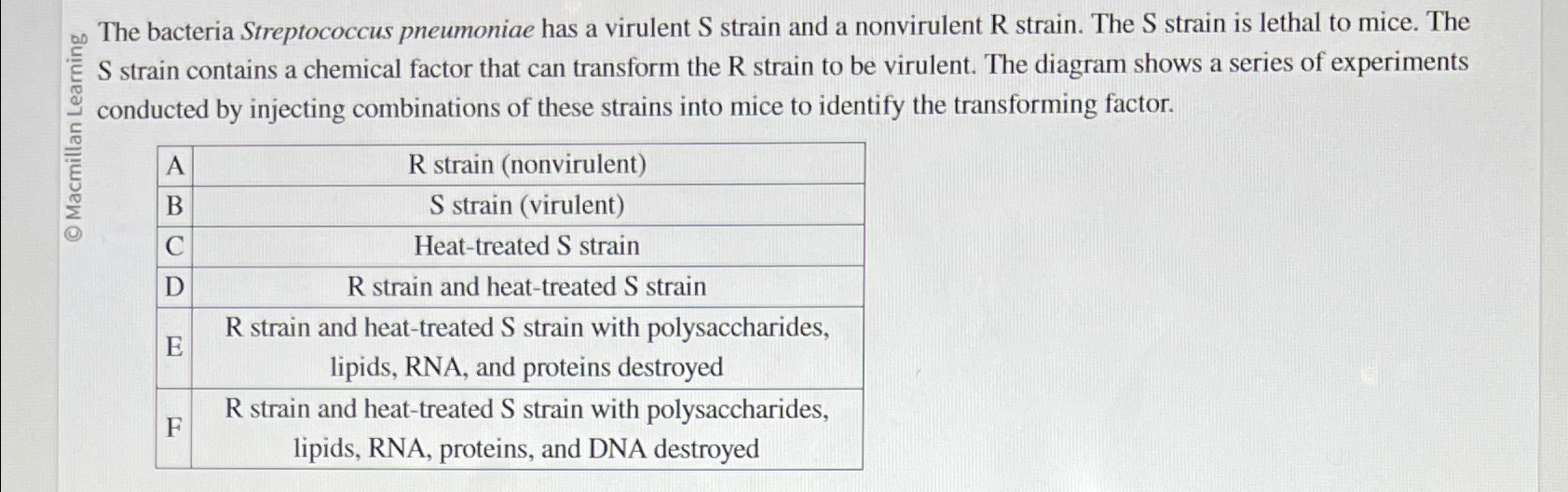 Solved The bacteria Streptococcus pneumoniae has a virulent | Chegg.com