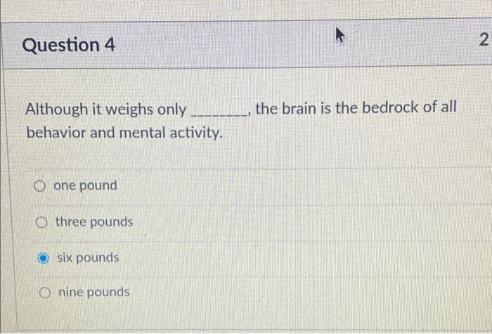 Solved Question 4 2 the brain is the bedrock of all Although