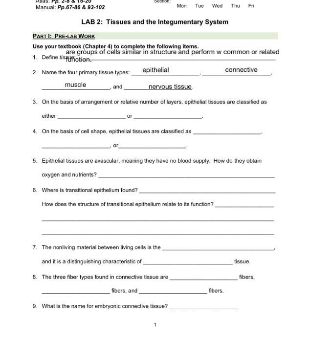 Solved LAB 2: Tissues and the Integumentary System PART I: | Chegg.com