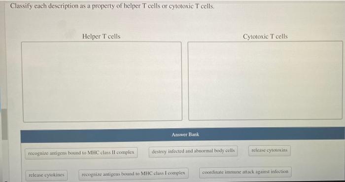 Solved Classify each statement as describing a primary | Chegg.com