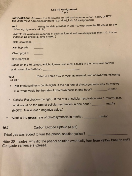 Lab 10 Assignment 10 pts Instructions: Answer the | Chegg.com