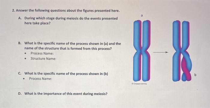 Solved 2. Answer the following questions about the figures | Chegg.com