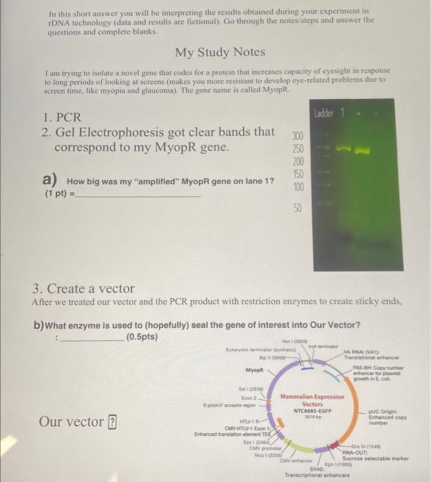 Solved In this short answer you will be interpreting the | Chegg.com