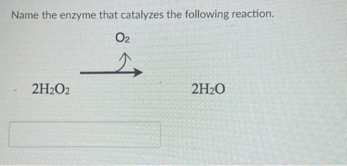 Solved Name The Enzyme That Catalyzes The Following | Chegg.com