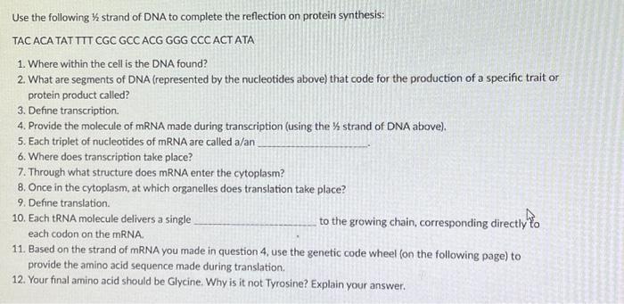 Solved Use the following ½ strand of DNA to complete the | Chegg.com