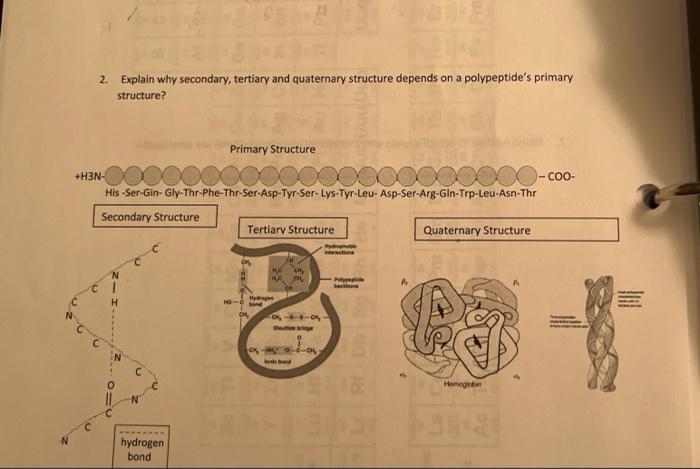 Solved 2. Explain why secondary, tertiary and quaternary | Chegg.com