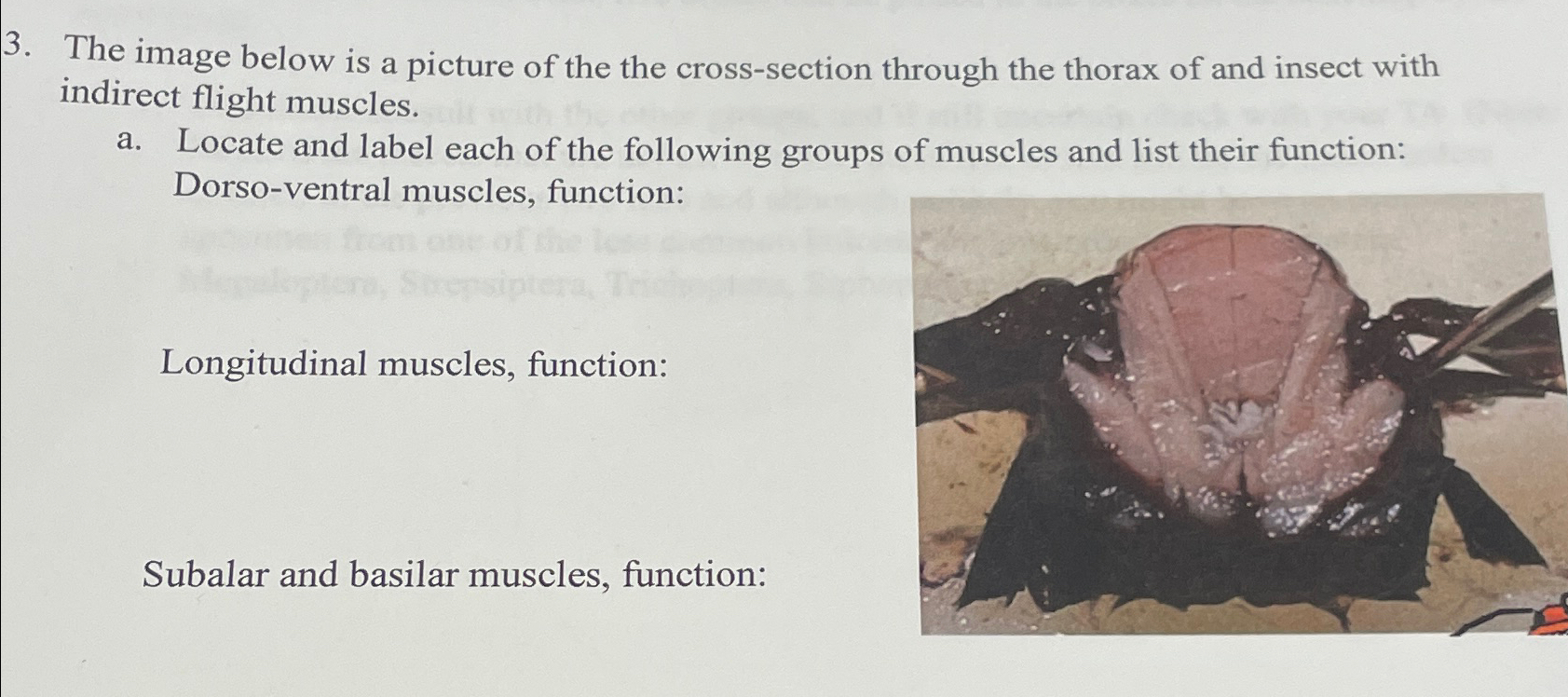 Solved The image below is a picture of the the cross-section | Chegg.com