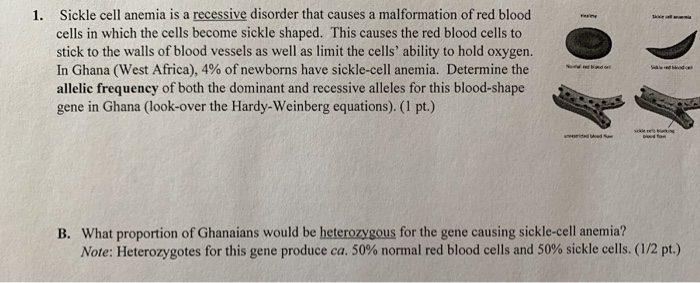 Solved 1. Sickle cell anemia is a recessive disorder that | Chegg.com