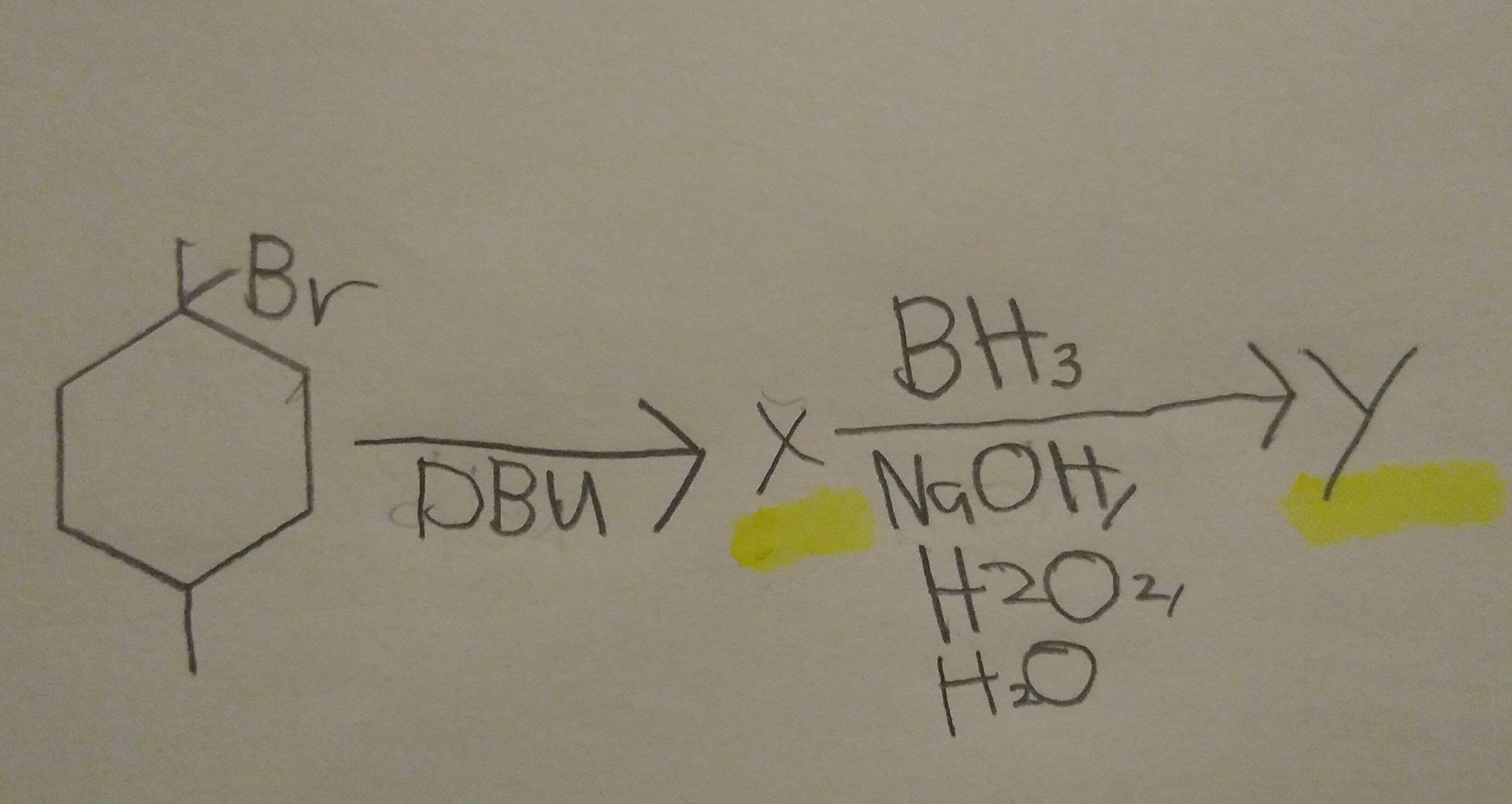 Solved -Br BH₃ NGOH H2O2, DBU > X х >Y 2 Hal | Chegg.com