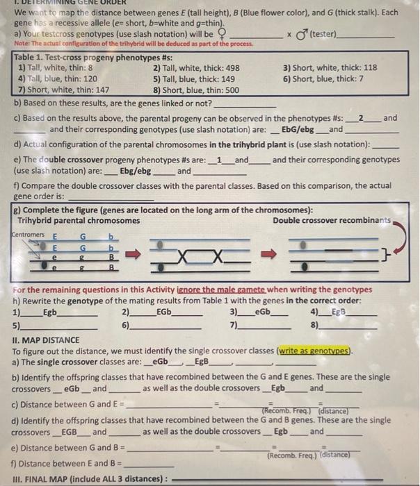 Solved We want to map the distance between genes E (tall | Chegg.com