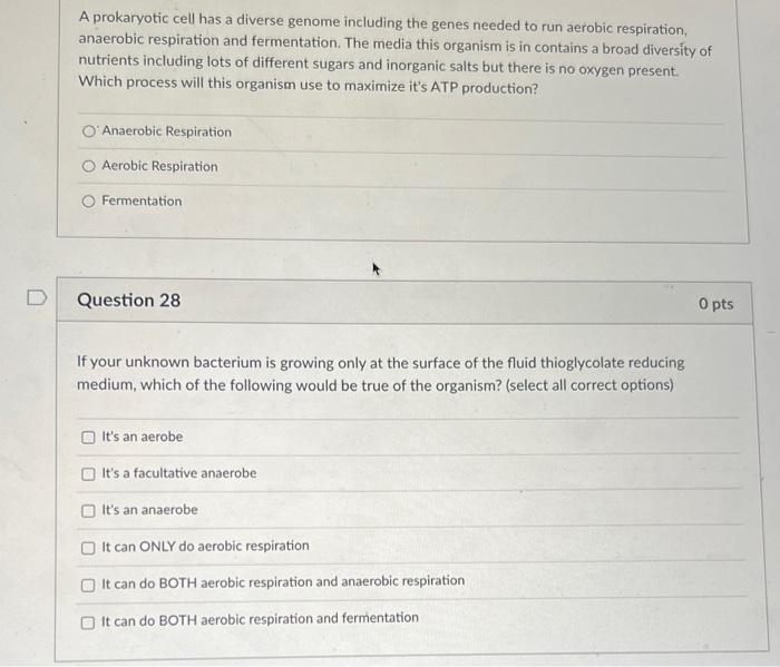 Solved The tapeworm, Taenia saginata, infects humans via: | Chegg.com