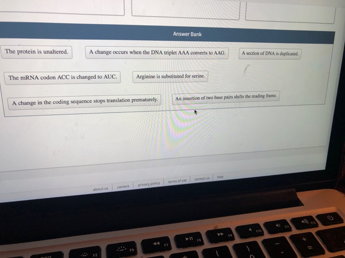 Solved Save Answer Match the | Chegg.com