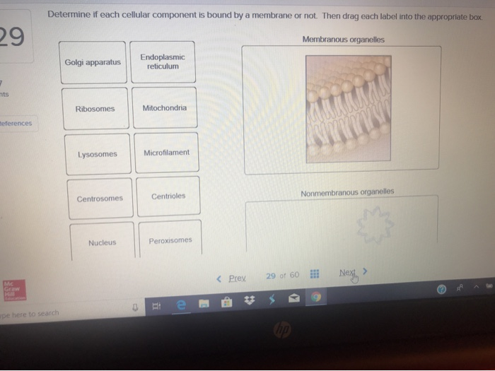 Solved Determine If Each Cellular Component Is Bound By A 9033