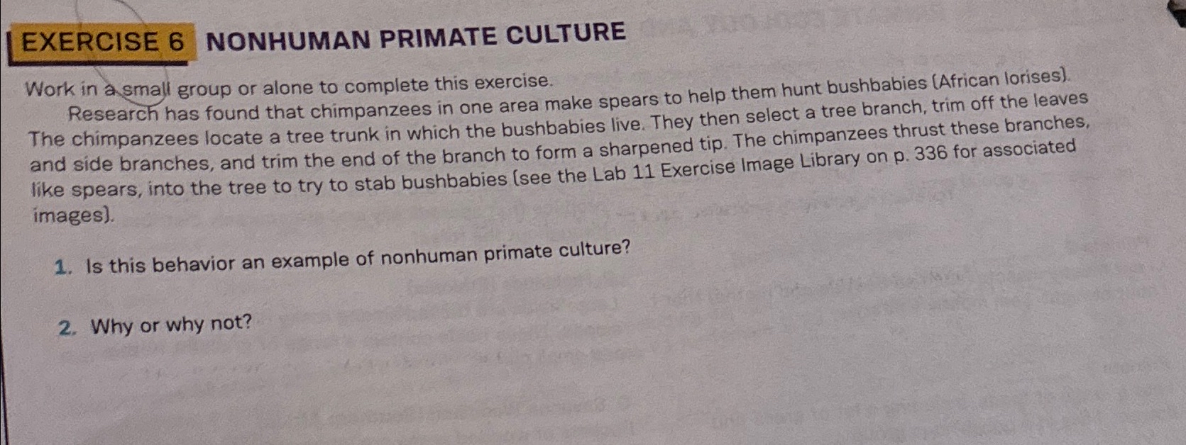 Solved EXERCISE 6 ﻿NONHUMAN PRIMATE CULTUREWork In A Small | Chegg.com