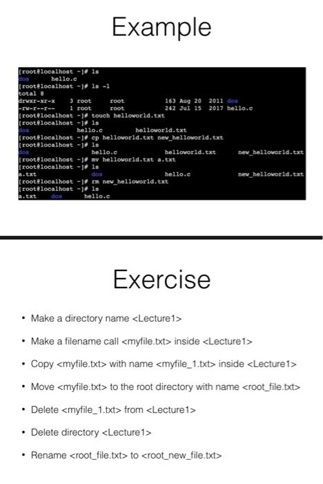 Solved Example root localhost -10 10 Hos hello.c | Chegg.com