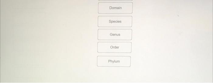 Solved Levels of classification On the night is a list at | Chegg.com