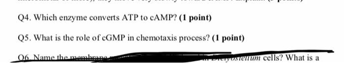 Solved Q4. Which Enzyme Converts Atp To Camp? (1 Point) Q5. | Chegg.com