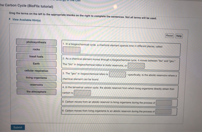 solved-the-carbon-cycle-bioflix-tutorial-drag-the-terms-on-chegg