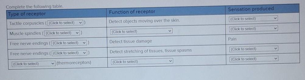 solved-sensation-produced-function-of-receptor-complete-the-chegg