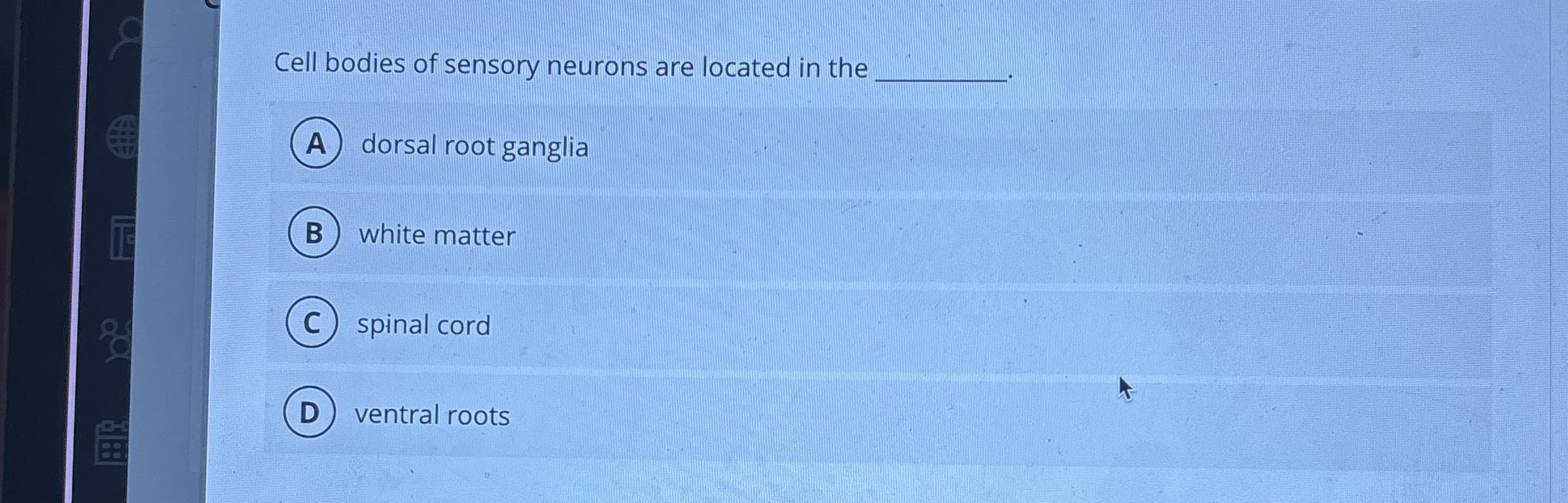 Solved Cell bodies of sensory neurons are located in the | Chegg.com
