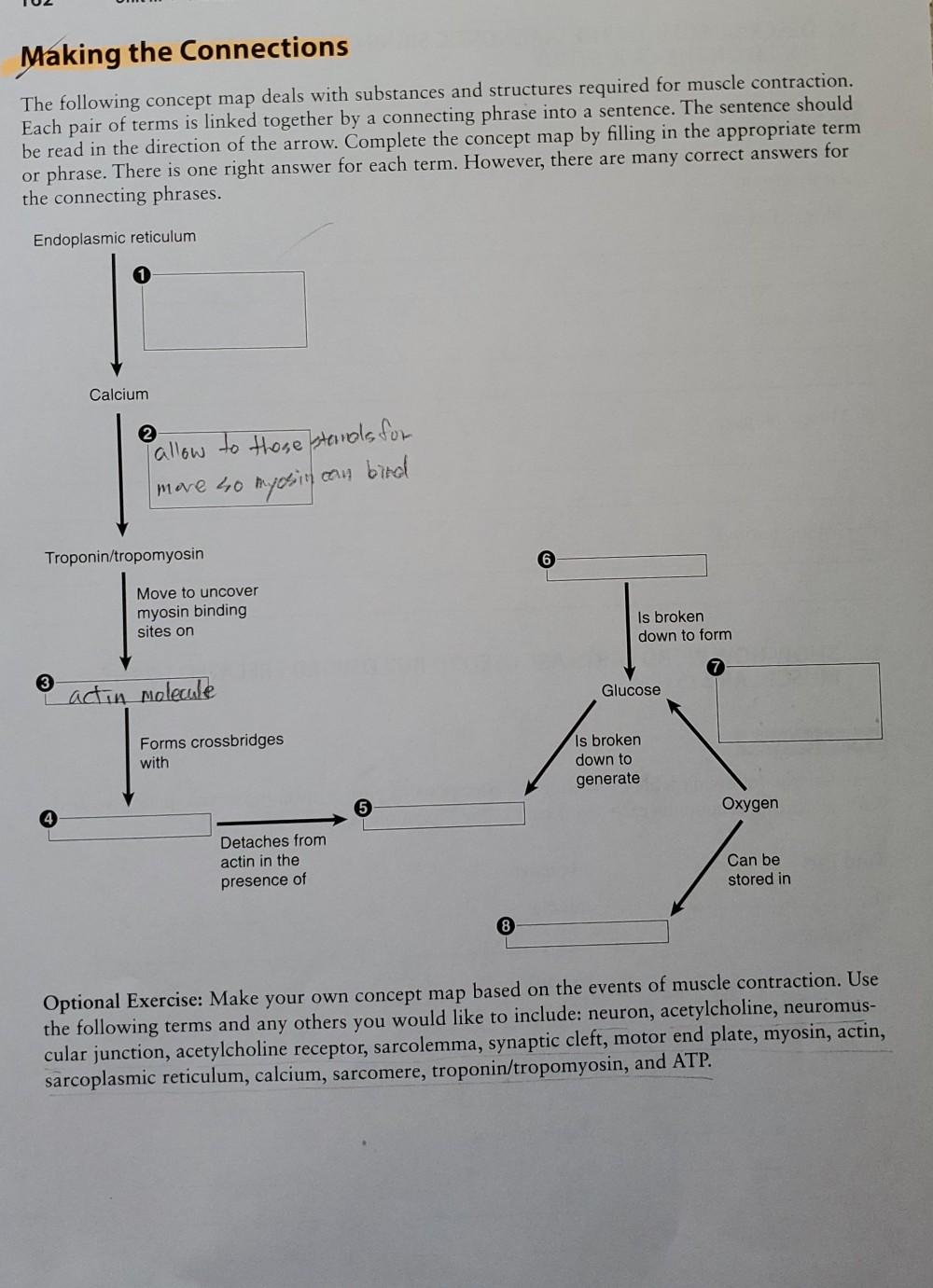 Solved Making the Connections The following concept map | Chegg.com