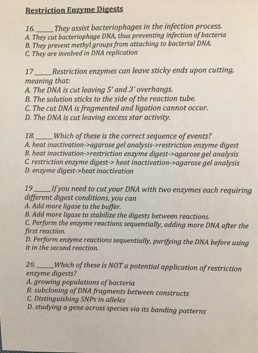 Solved Restriction Enzyme Digests .They Assist | Chegg.com