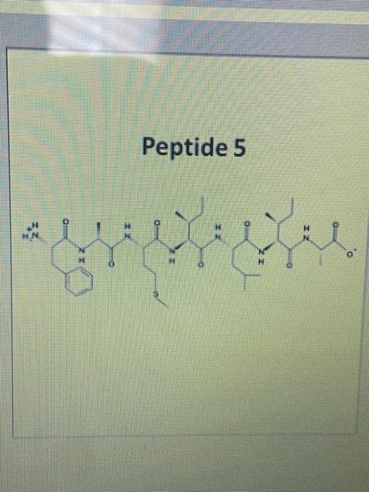 Solved what are the one letter codes present in the | Chegg.com