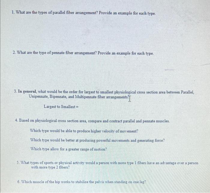 1. What are the types of parallel fiber arrangement? Provide an example for each type.
2. What are the type of pennate fiber 