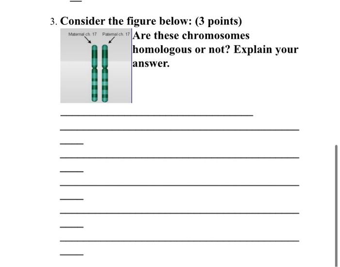Solved 3. Consider the figure below: ( 3 points) Are these | Chegg.com