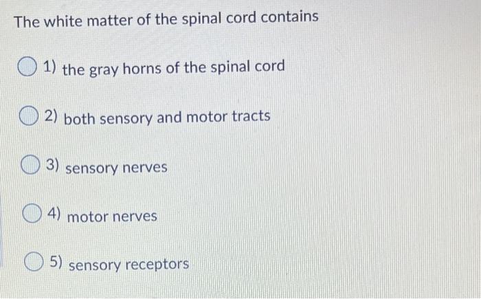Solved The white matter of the spinal cord contains 1) the | Chegg.com