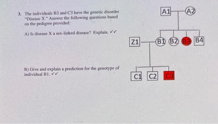 Solved 3. The individuals B3 and C3 have the genetic | Chegg.com